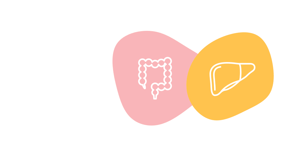 Gut/Liver icon graphic