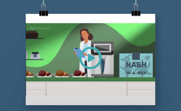 nash-biotechniques-animation