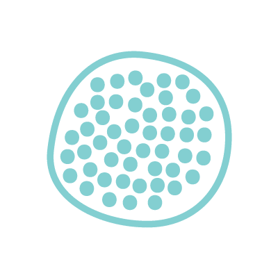 Icon of cells