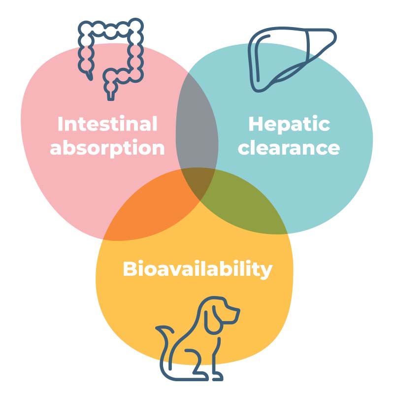 diagram combine | in vitro human gut/liver models