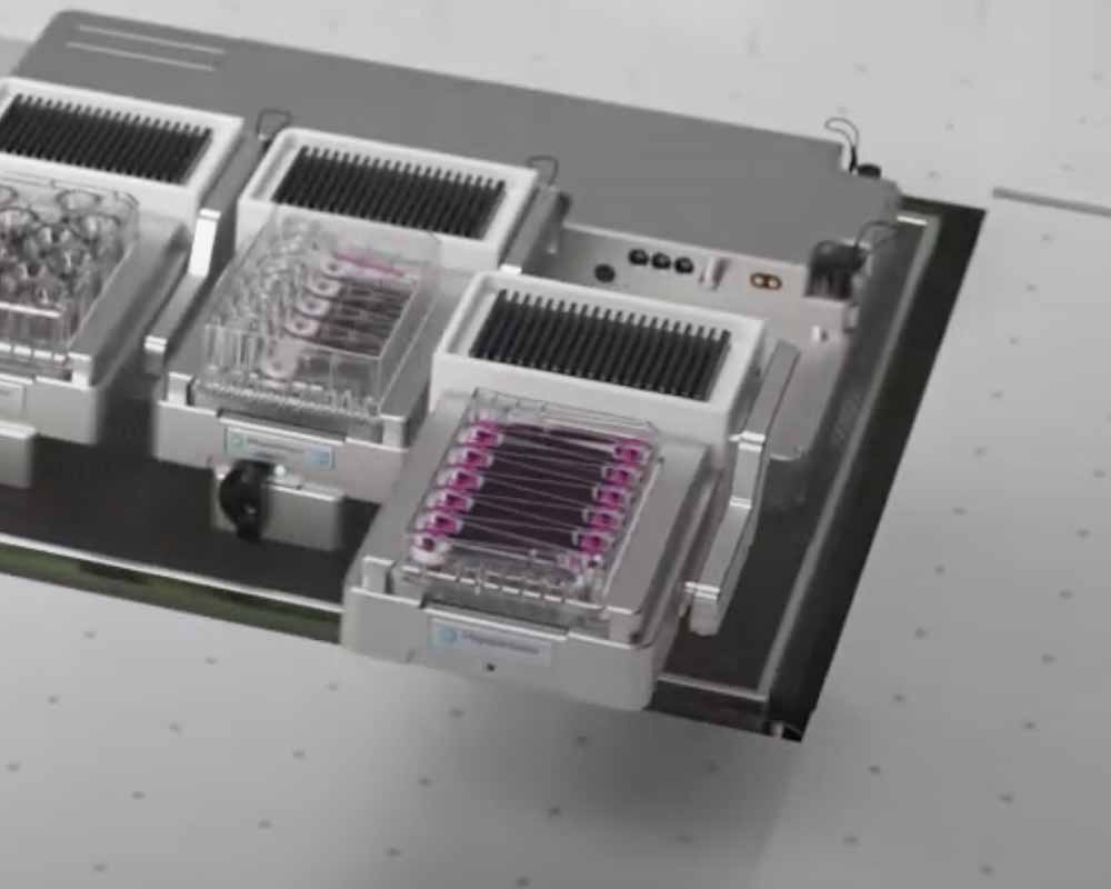 docking plate | organ-on-a-chip technology