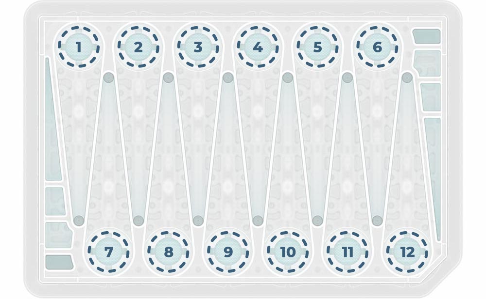 plater schematic 3 | organ-on-a-chip technology