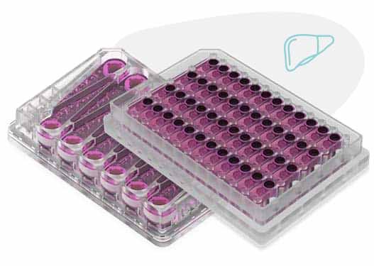 lc12 plate icon | organ-on-a-chip technology