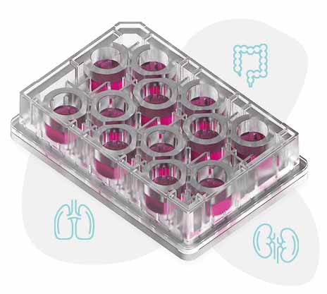 t12 plate icon | organ-on-a-chip technology