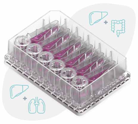 tl6 plate icons | organ-on-a-chip technology