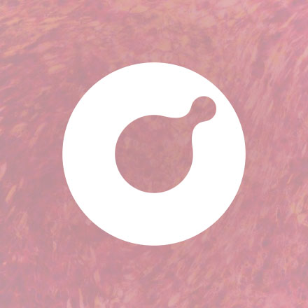 direct | PhysioMimix® Core system support
