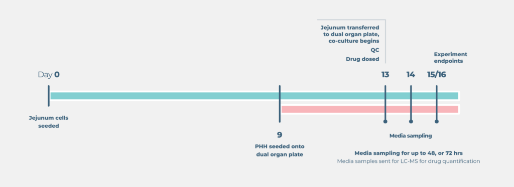 cnb1015 drug dosing timeline v2 | Bioavailability Assay Kit