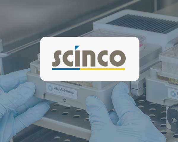 cnb1449 scinco on about journey timeline v1 | Who we are