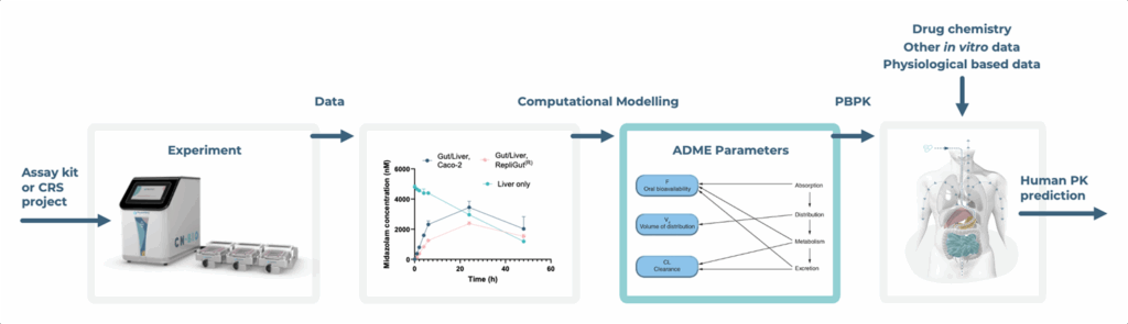 Workflow diagram showing the integration of in silico (in italics) tools with Organ-on-a-chip for predicting human pharmacokinetics.