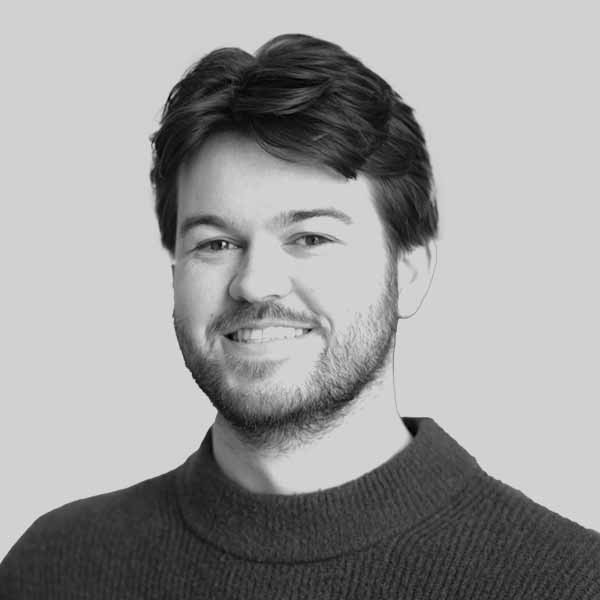 Morne B W | mps and in silico modeling