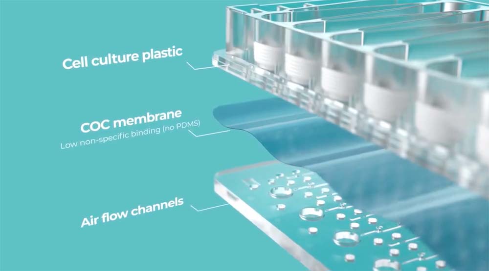 plate arc | Multi-chip plates