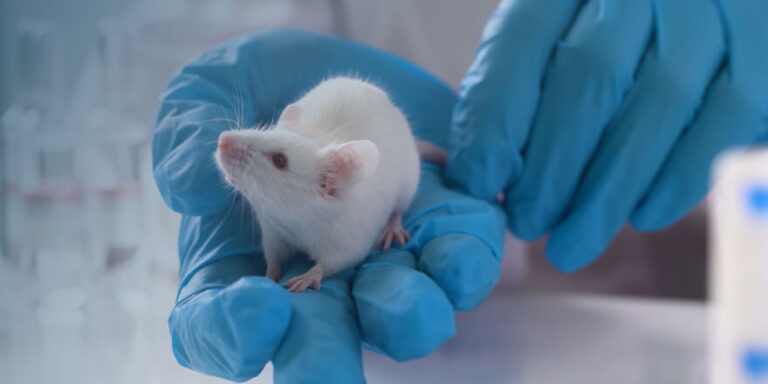 News Article | UK Plans to Phase Out Animal Testing | CN Bio