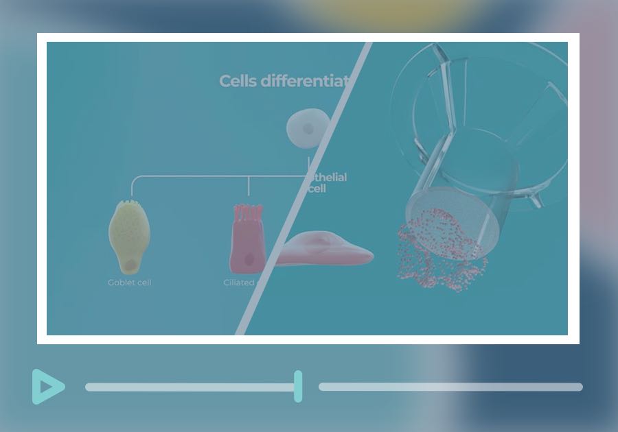 cnb1548 lung on a chip anims webinar v1 | Lung-on-a-chip technology