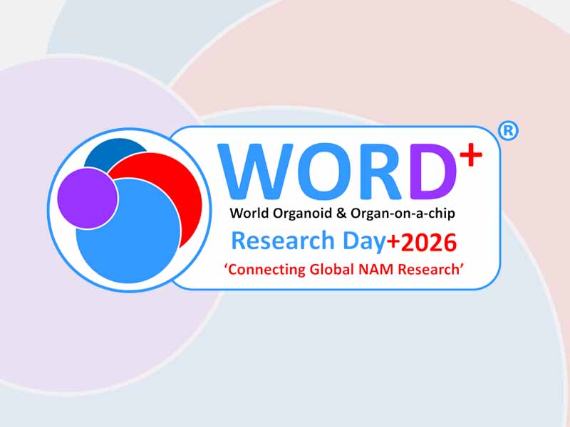 cnb1558 word 2026 event logo v1 | WORD+ 2026