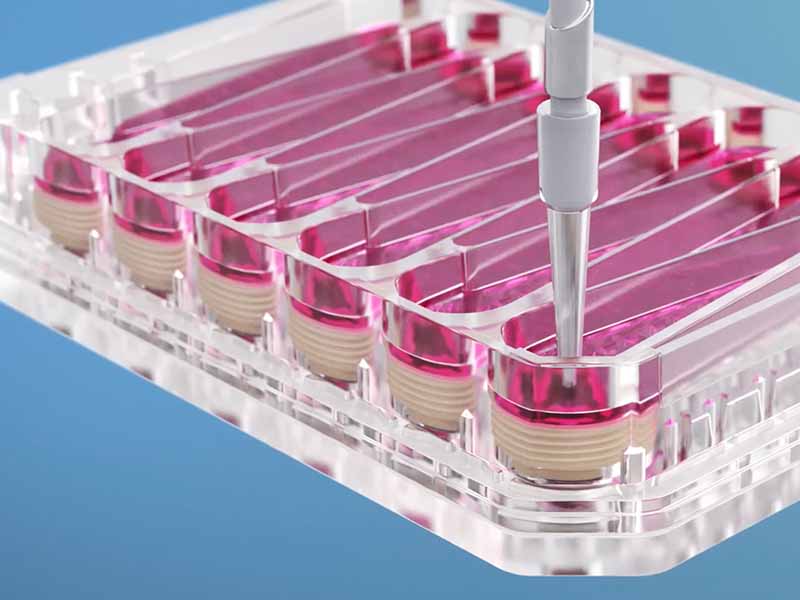 cnb1610 adopt v1 | microphysiological system