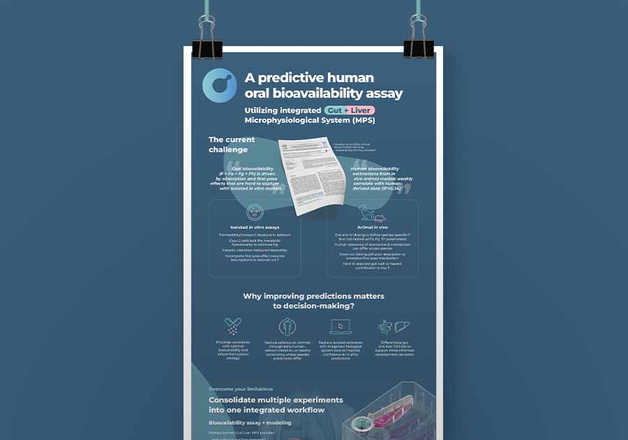 cnb1713 bioavailability infographic mock v1 | Bioavailability